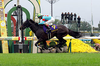 2025年 菊花賞 JRA