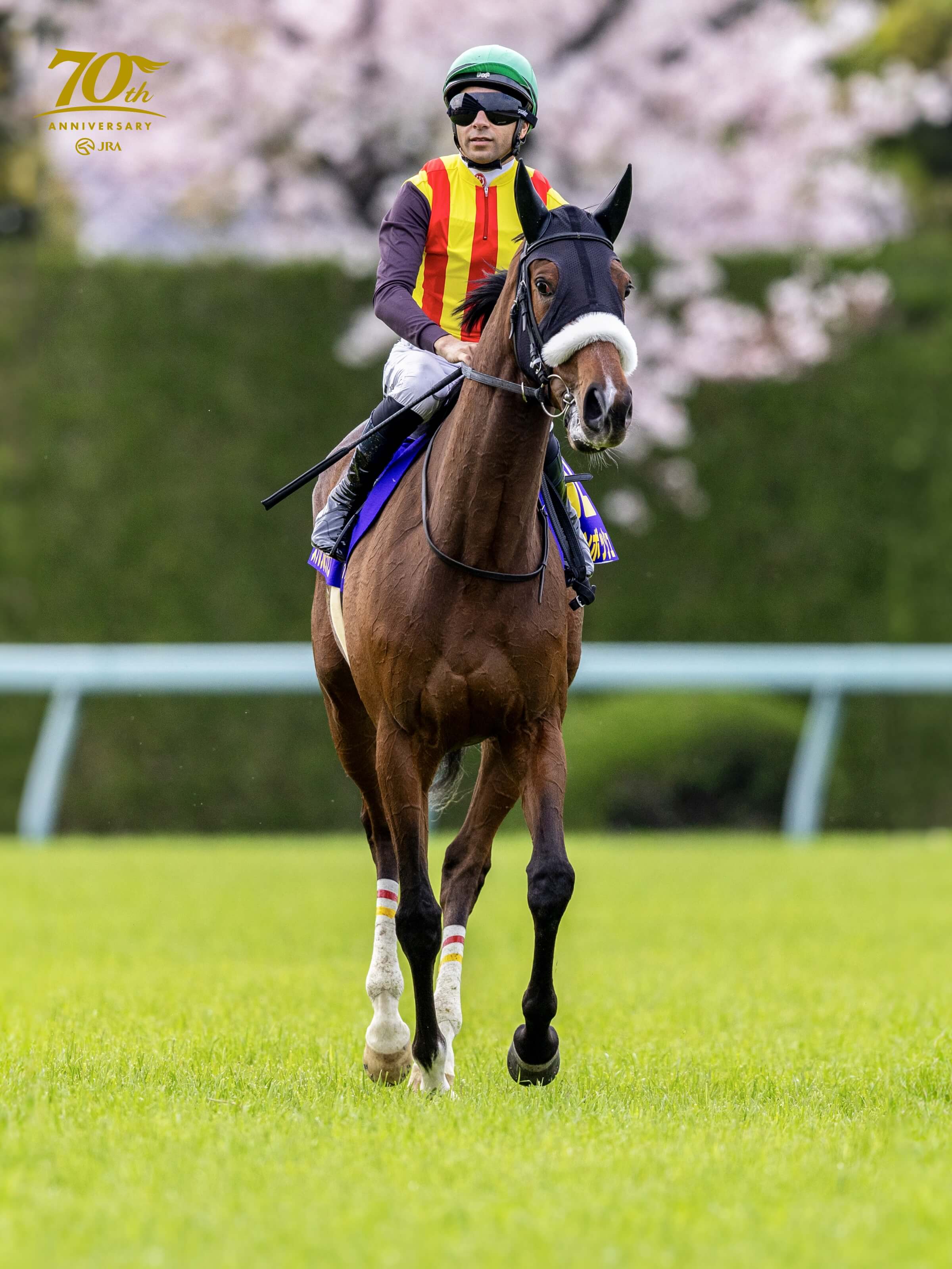 みんなでつくる名馬ポスター | JRA70周年特設サイト｜JRA