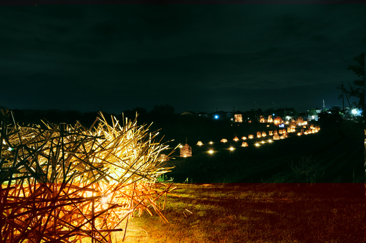 西の湖 ヨシ灯り展｜イベント｜【公式】近江八幡市観光情報サイト