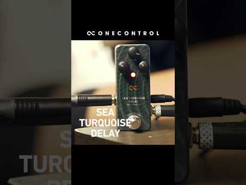 One Control SEA TURQUOISE DELAY – OneControl