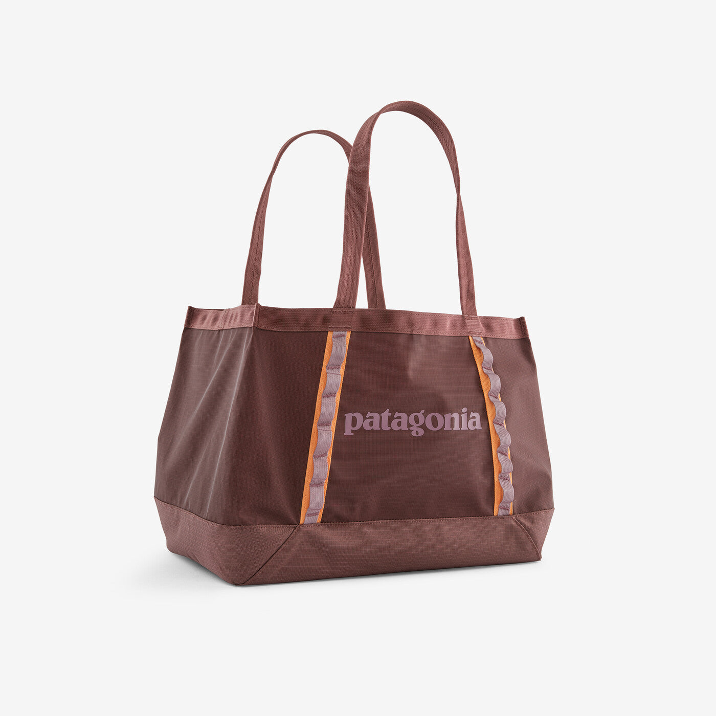 Patagonia Black Hole Tote 25L - Onion River Outdoors