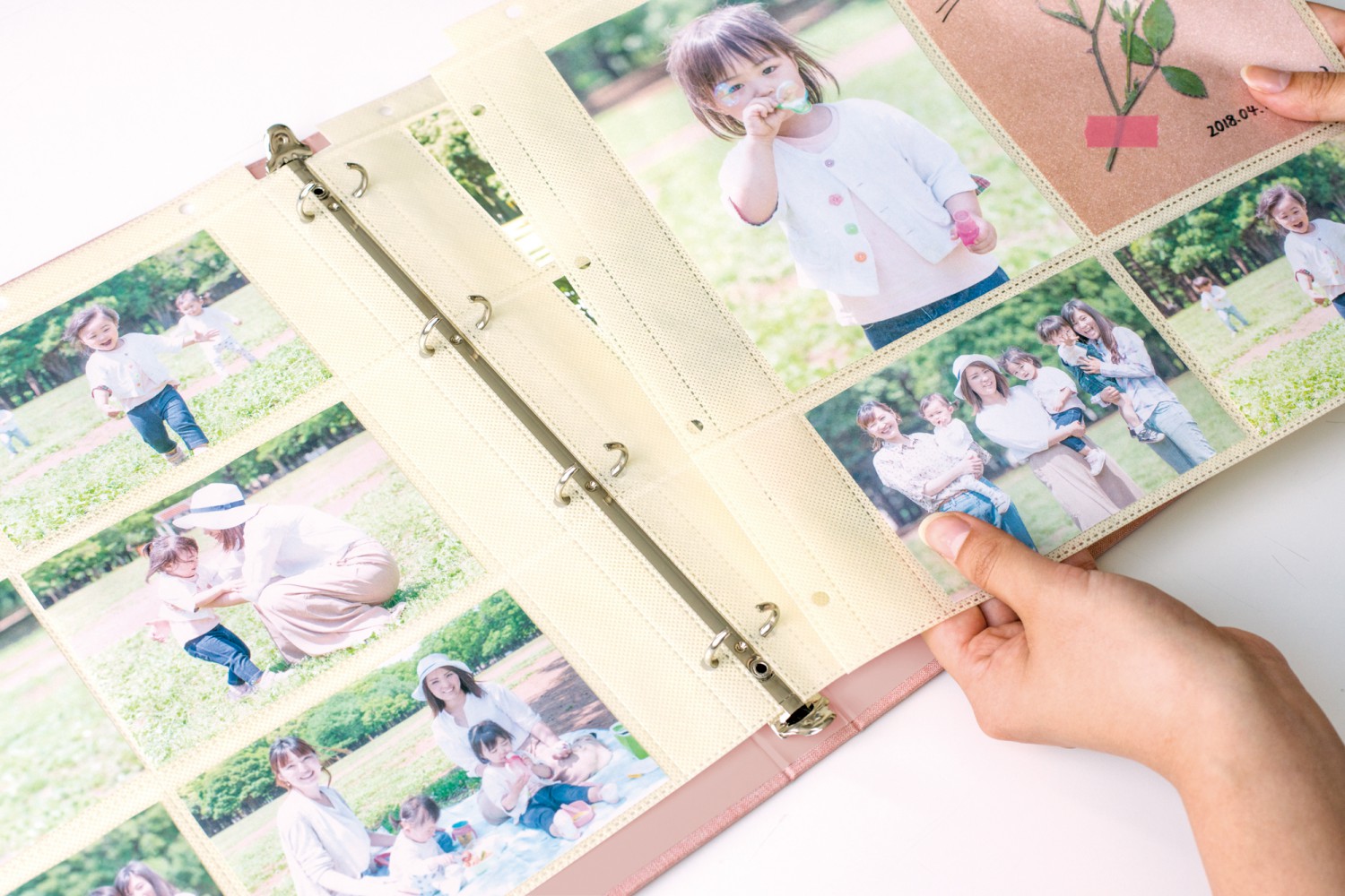 バインダー式アルバム・リフィル台紙＆ログカードセット マークス