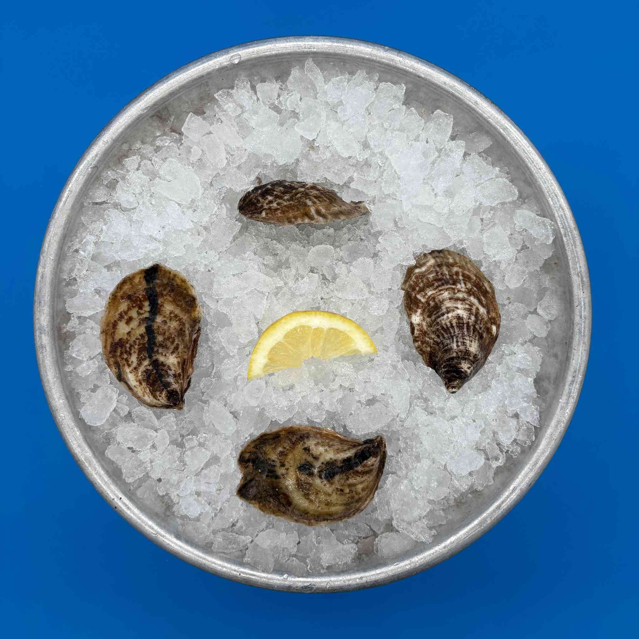 East Beach Blonde Oysters – OSSC