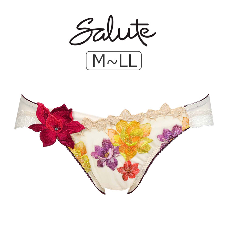 PTJ730｜ワコール サルート 30G スタンダードショーツ M/L/LL 下着