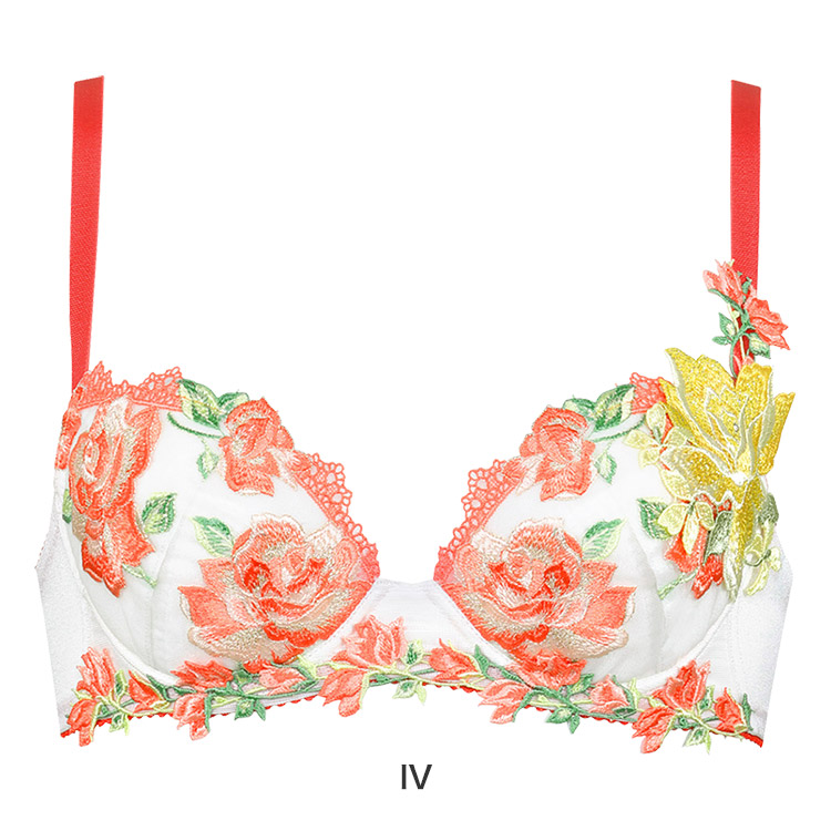 完売サイズ】Salut サルート 24G C75M タグ付 受注 事前予約 完売