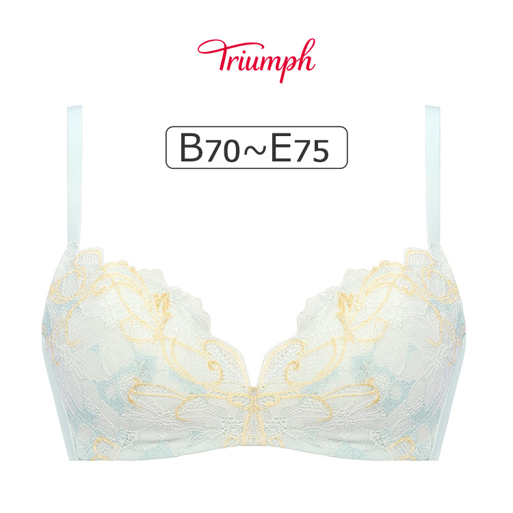 E70サイズブラジャーの通販/アンテシュクレ(intesucre)(並び順：価格