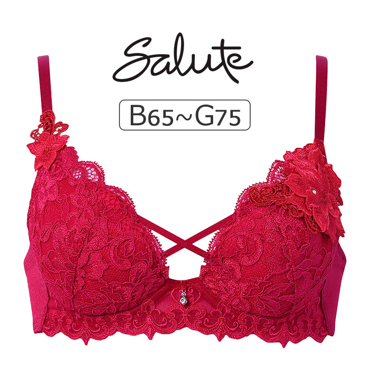 BTJ727｜ワコール サルート 27G ブラジャー単品 女優Bra BCDEFGHI