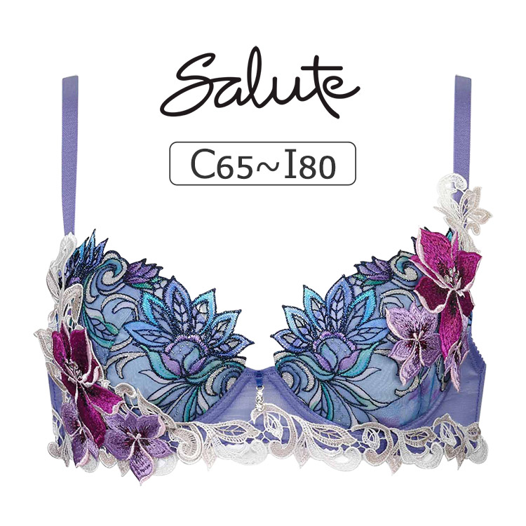 BTJ480｜ワコール サルート 80G ブラジャー単品 P-upタイプ CDEFGHI