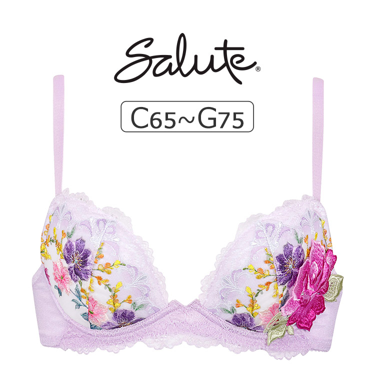 BTJ493｜ワコール サルート 93G P-upタイプ ブラジャー単品 BCDEFGHI