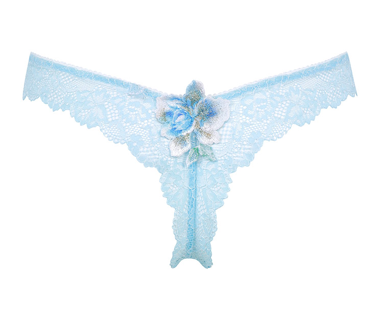 PTJ491｜ワコール サルート 91G Tバックショーツ M/L 下着