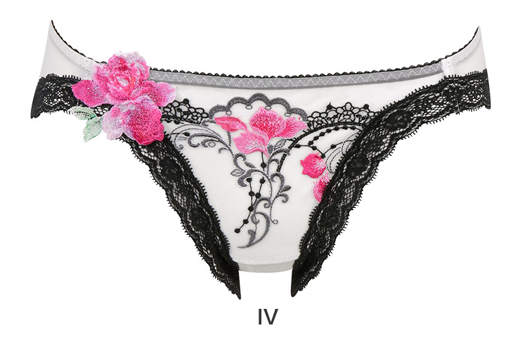 PTJ791｜ワコール サルート 91G スタンダードショーツ M/L/LL 下着