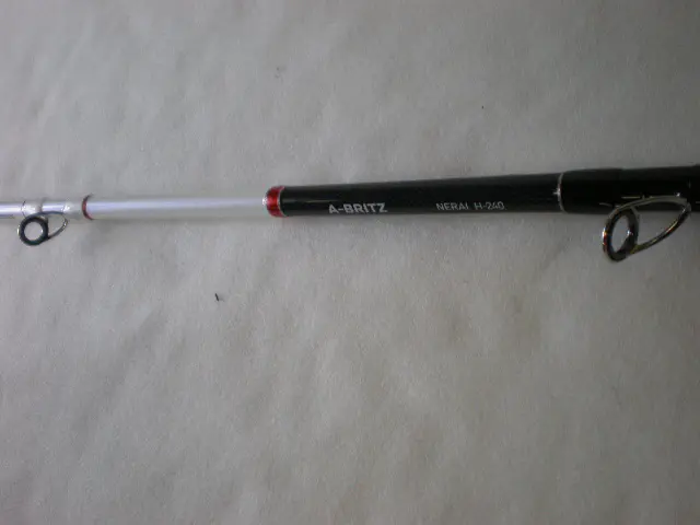 A-ブリッツネライH-240 - 29,200円 : 海釣り、船釣り専門店の沖三昧