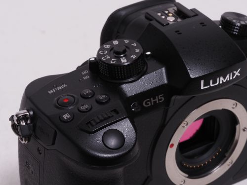 荻窪カメラのさくらや / パナソニック DC-GH5 ボディ 【中古】(B:486)