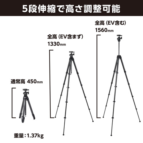 荻窪カメラのさくらや / ベルボン 自由雲台付き三脚 Z553 MT【数量限定