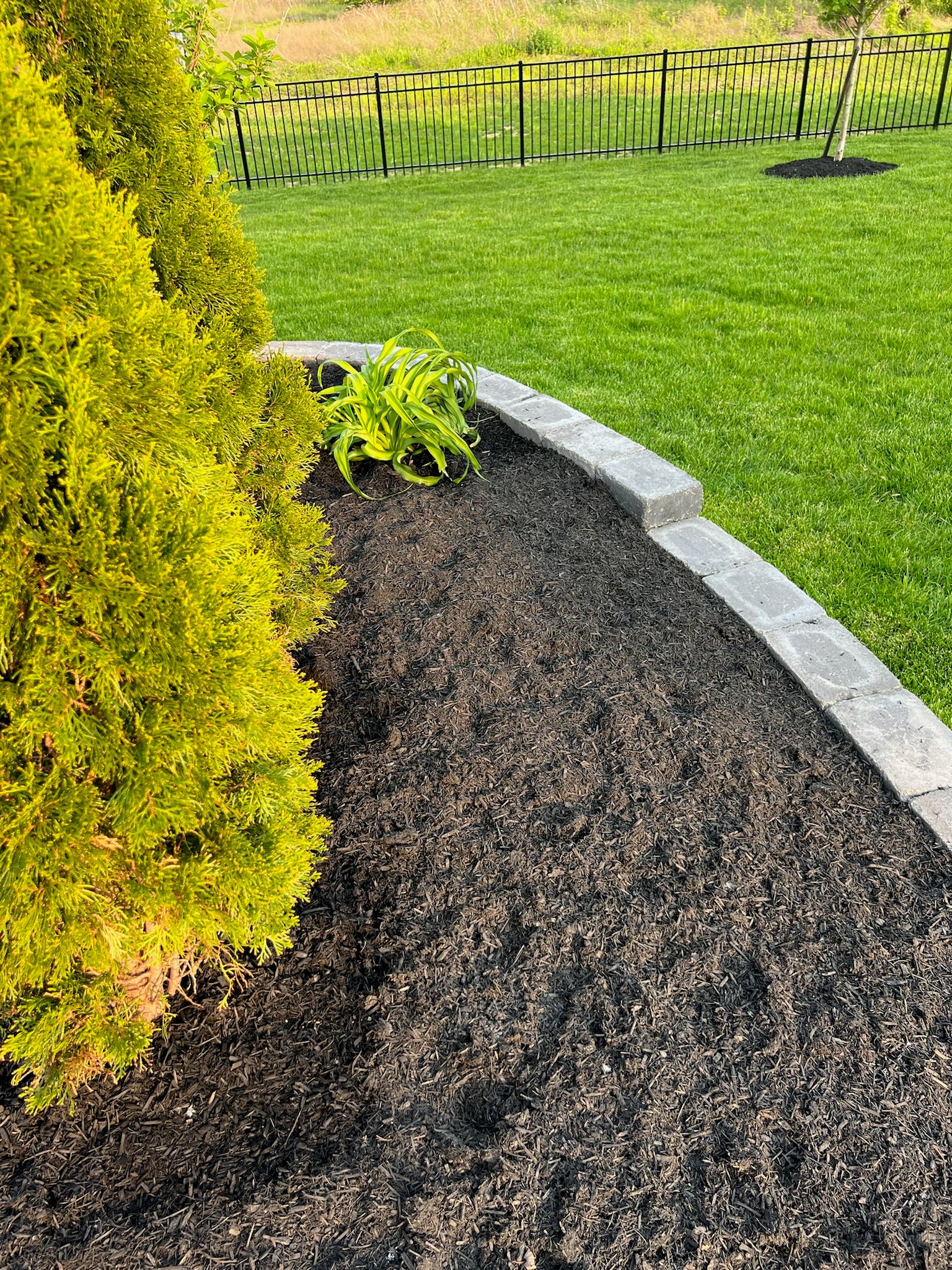 1940) - Absolute Black Fine Bulk Mulch – Ohio Mulch