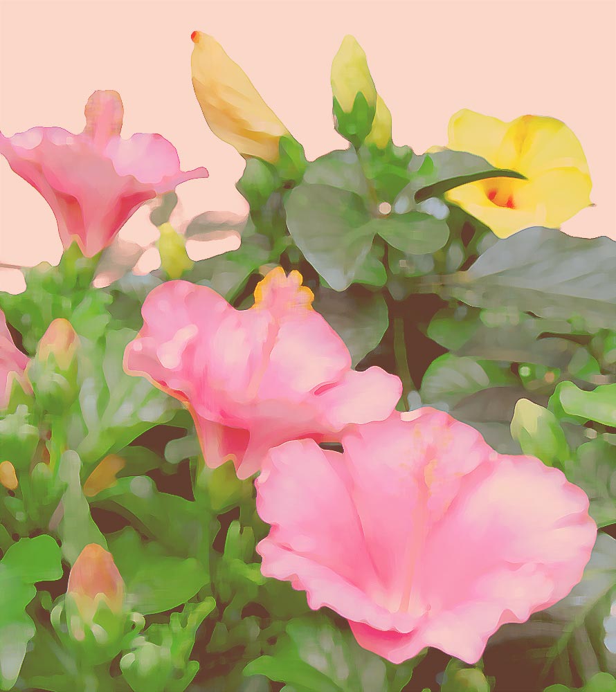 中島千波 富士桜 | 絵画など美術品の販売と買取 | 東京・銀座 おいだ美術