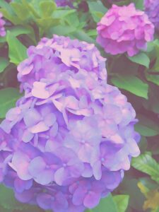 荻須高徳 パンとケーキの店 | 絵画など美術品の販売と買取 | 東京