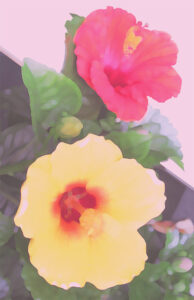 おすすめギフト | 絵画など美術品の販売と買取 | 東京・銀座 おいだ美術