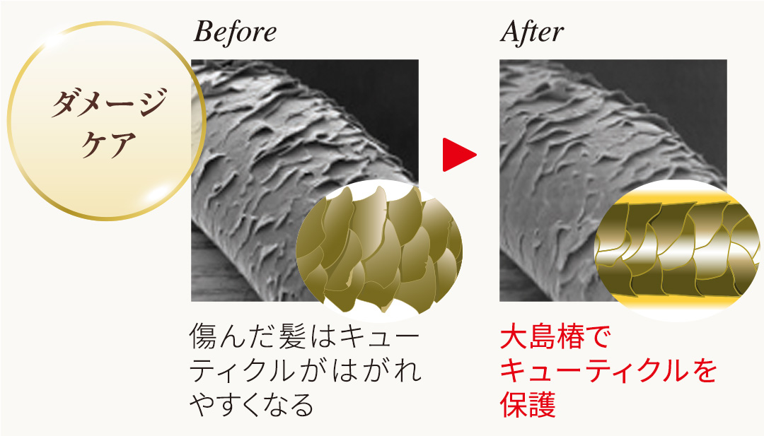 ヘアカラートリートメント ダークブラウン | 大島椿公式オンラインショップ