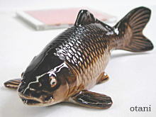 鯉の置物販売【信楽焼大谷陶器】