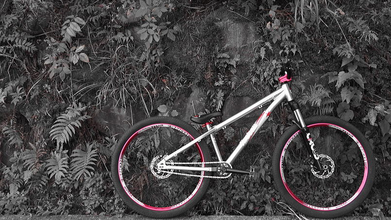 シングルスピード マウンテンバイク MTB シングルギア Mangoose