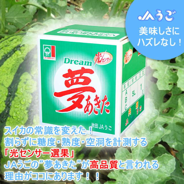 秋田県産,すいか,JAうご「光センサー夢あきた」10～12kg・5L(1玉