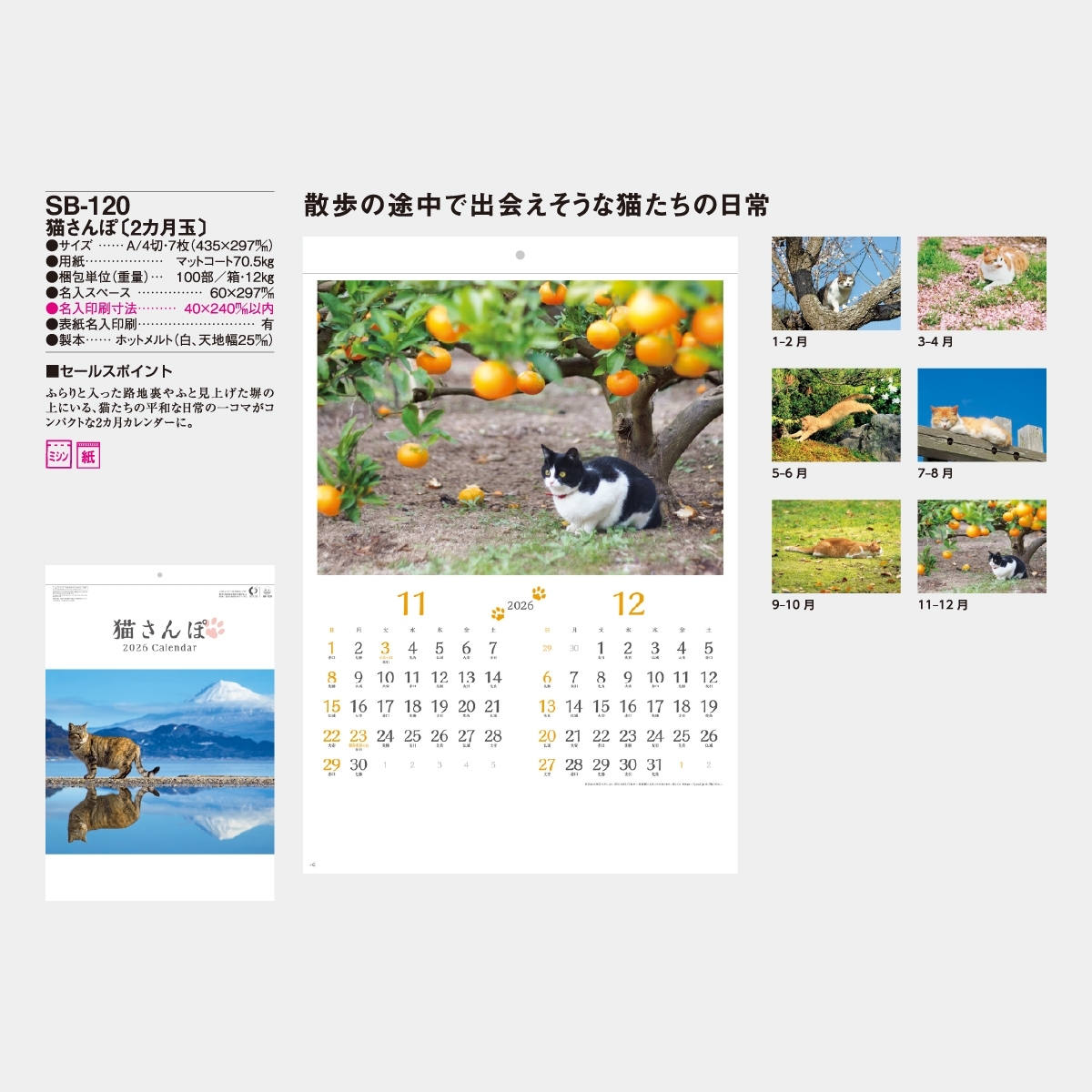 SB-120 猫さんぽ〔2ヶ月玉〕2026年版の名入れカレンダーを格安で販売