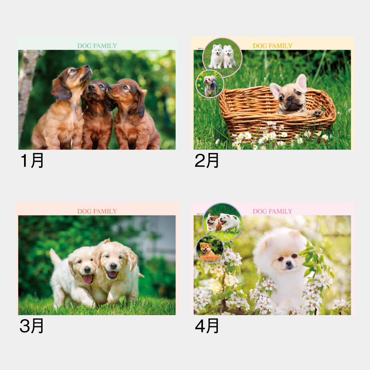 SG-295 ドッグファミリー2026年版の名入れカレンダーを格安で販売 - 名