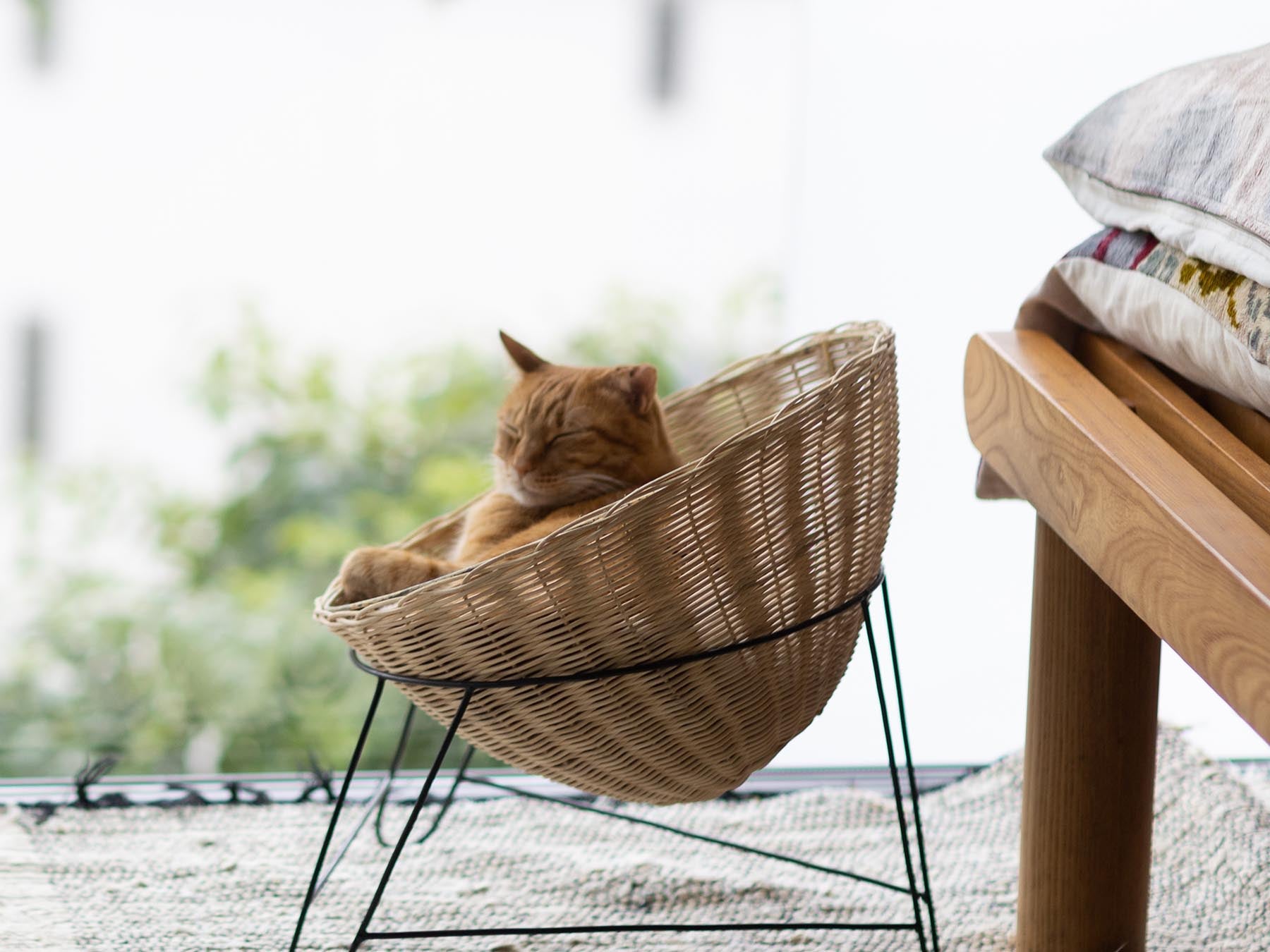 オルネコ・アイアンレッグラタンチェア｜オルネコ（ベッド・ハウス