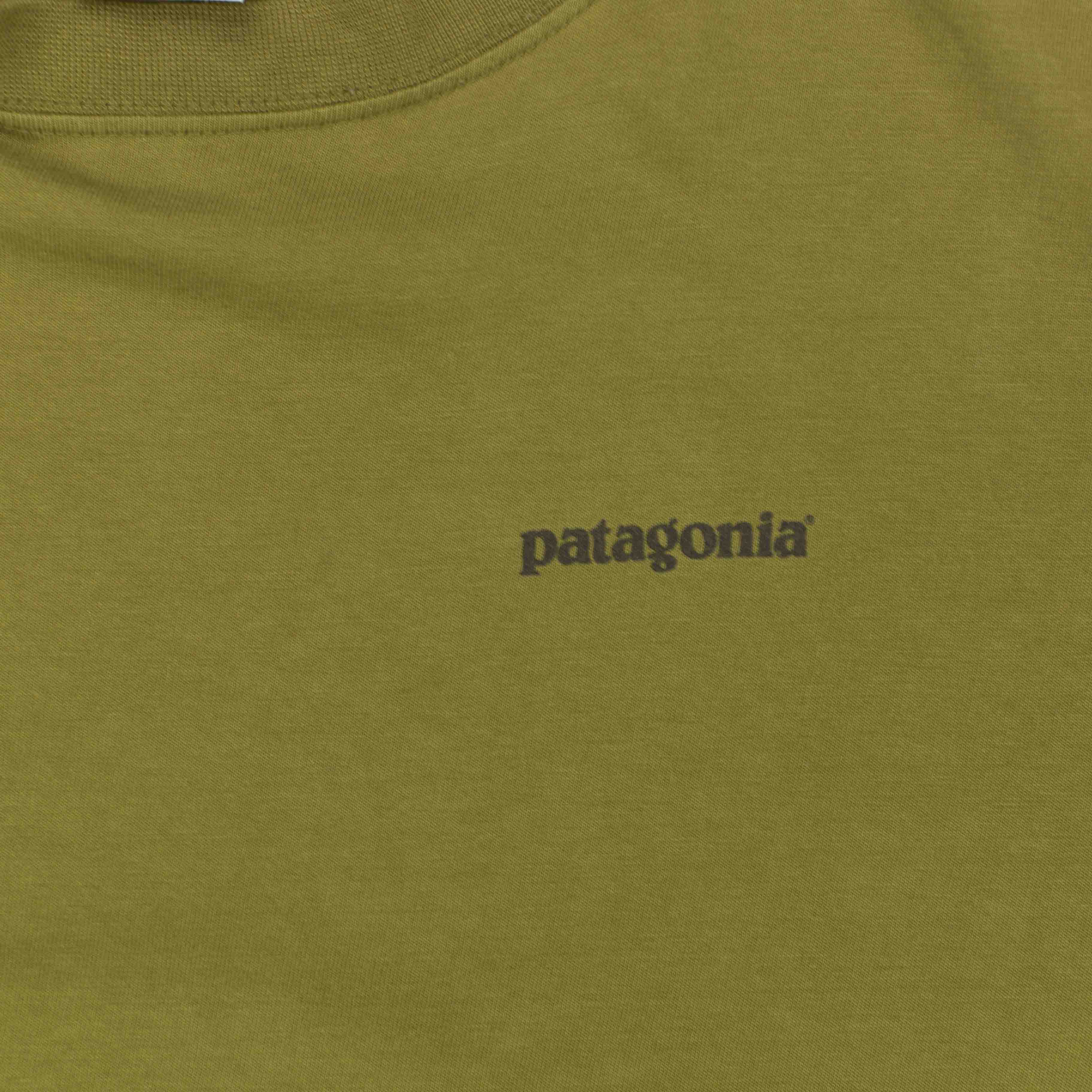 Patagonia khaki green tshirt Mexico beneficial T's size small – L N F