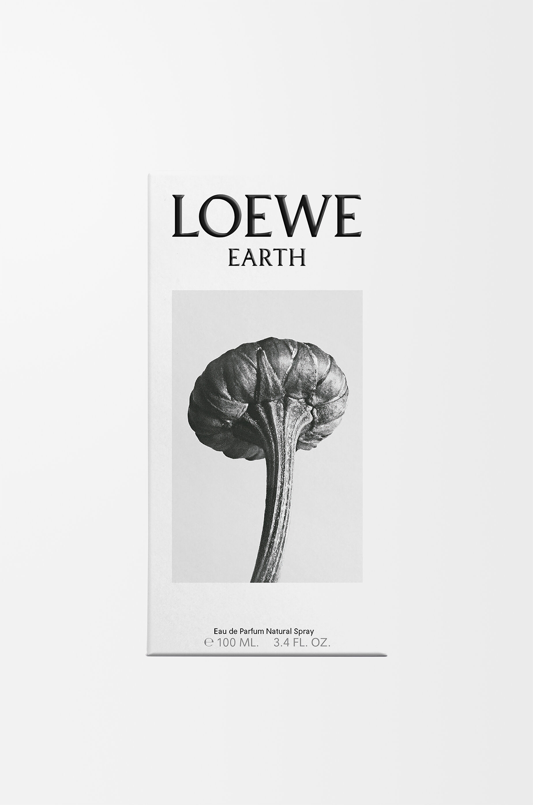 ロエベ アース オードゥ パルファム 100ml パープル - LOEWE Japan