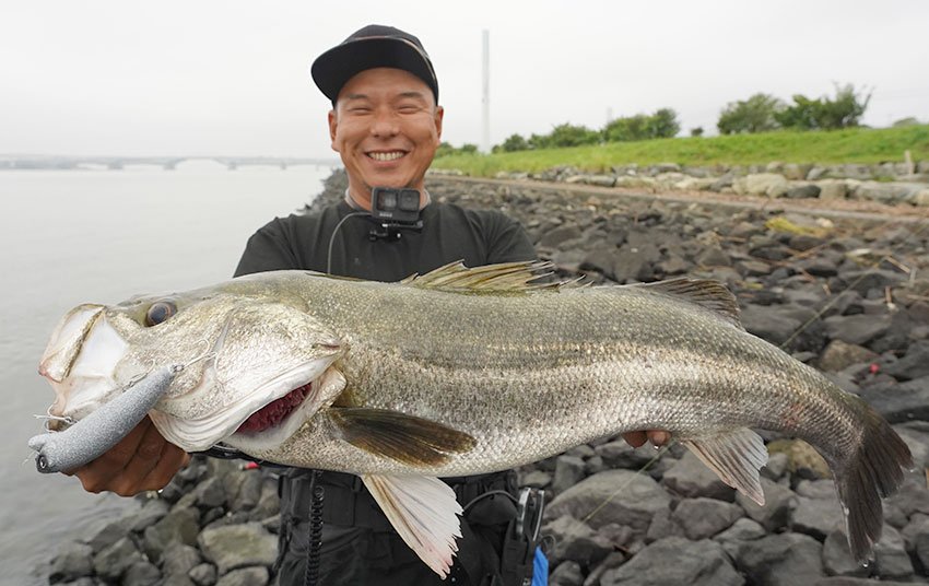 LONGIN PRODUCTS SUPER UV GINGIRA UVLAME