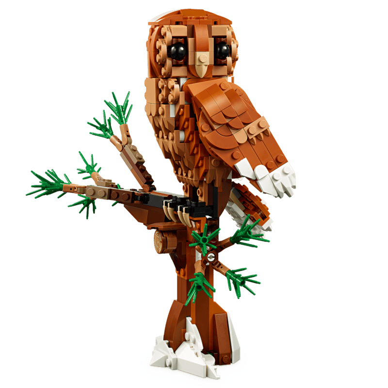 31154_alt4.png?fit=crop&