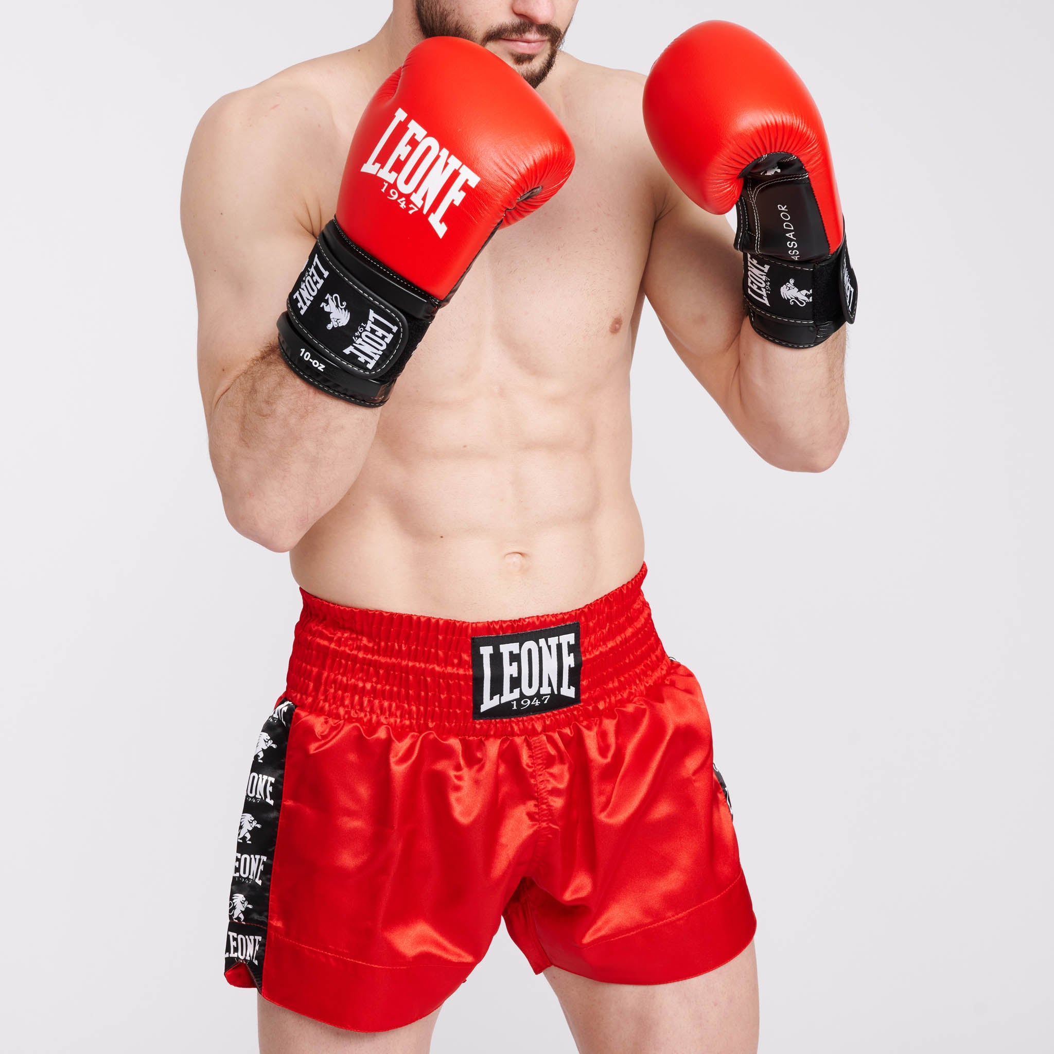 AMBASSADOR BOXING GLOVES GN207 red | Leone 1947 Official Shop