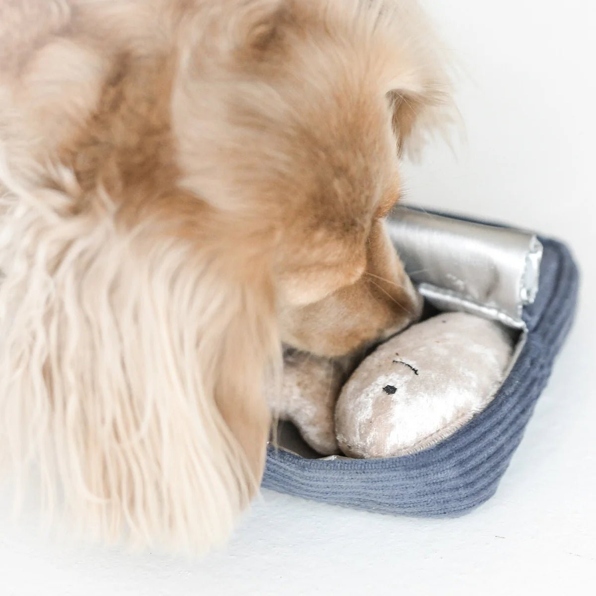 SARDINES – Lambwolf Collective