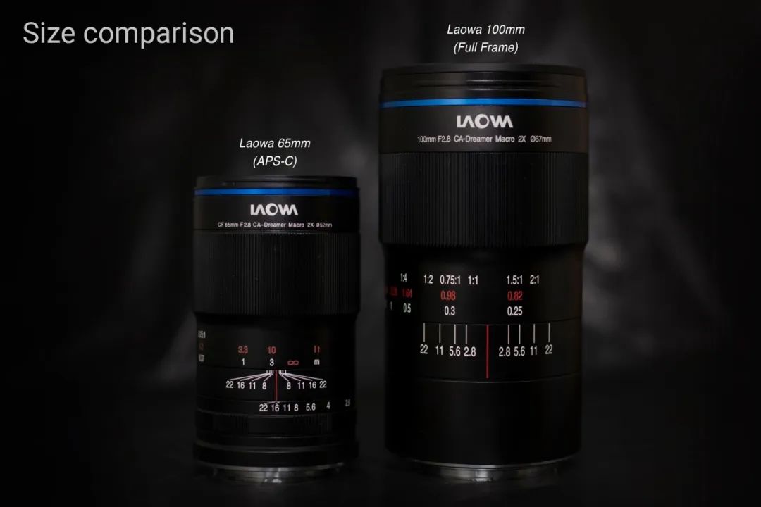不只是拍微距——老蛙CF 65mm F2.8 CA-Dreamer Macro 2X-公司新闻-老蛙镜头