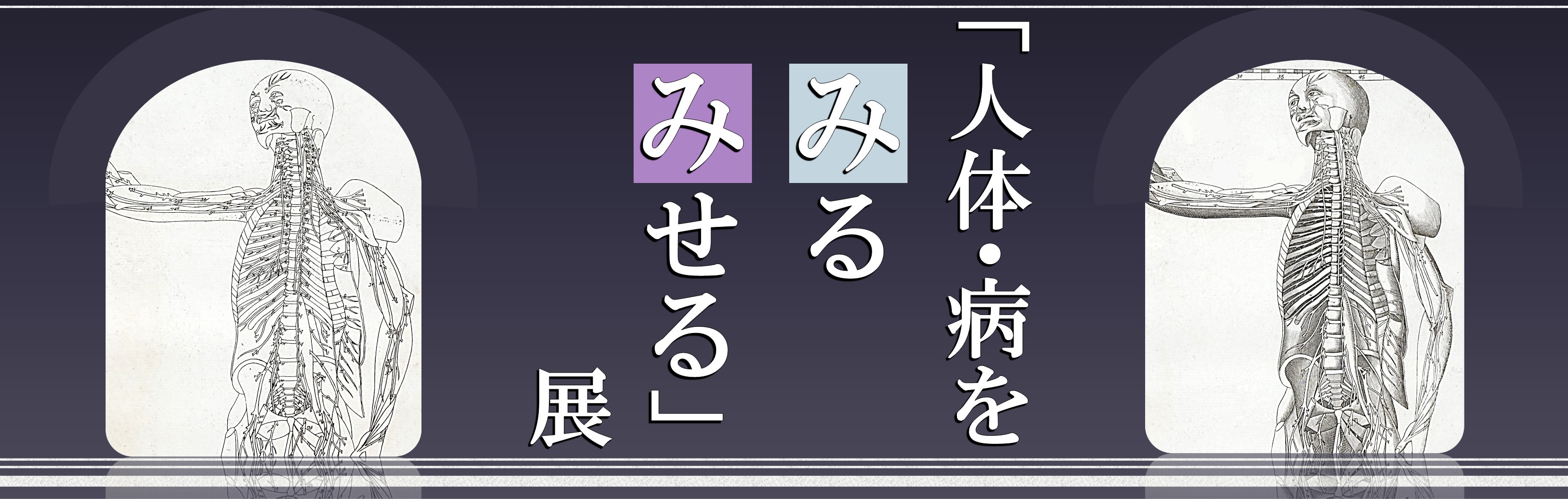 第2章 治療法をみる・みせる | 九州大学附属図書館