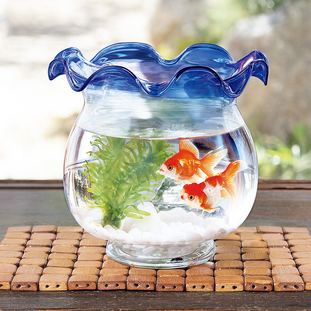 廣田硝子 金魚鉢 | ライトアップオンラインストア
