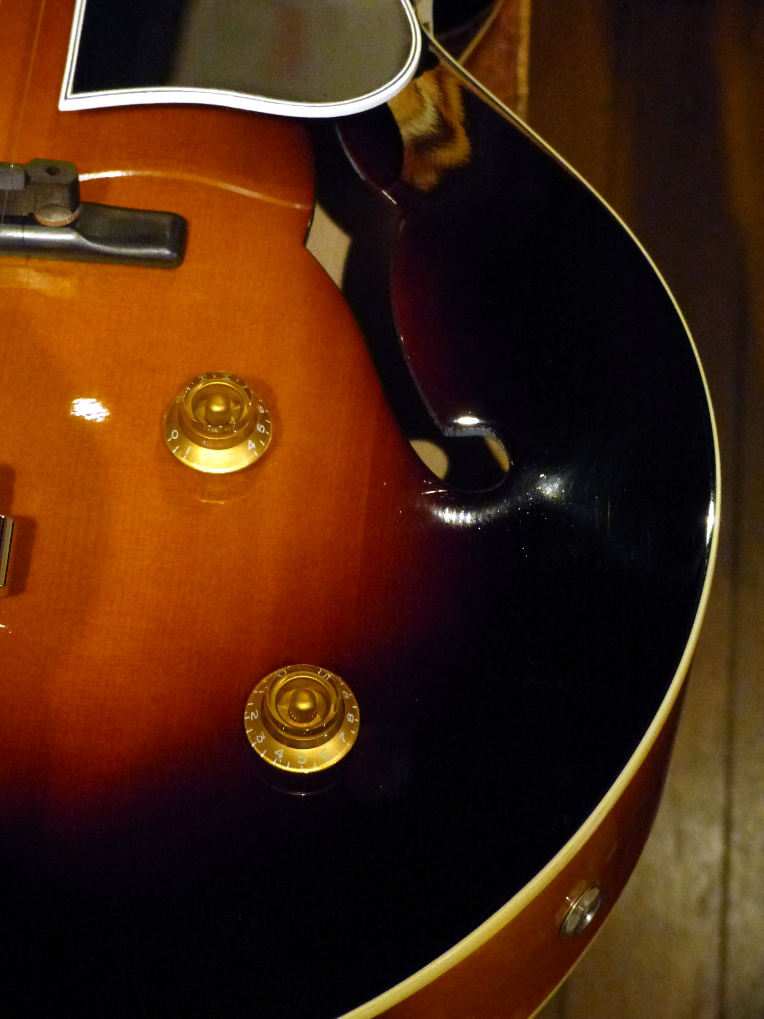 Loar '21 LH-309 – 京町家のギターショップ ライトニン