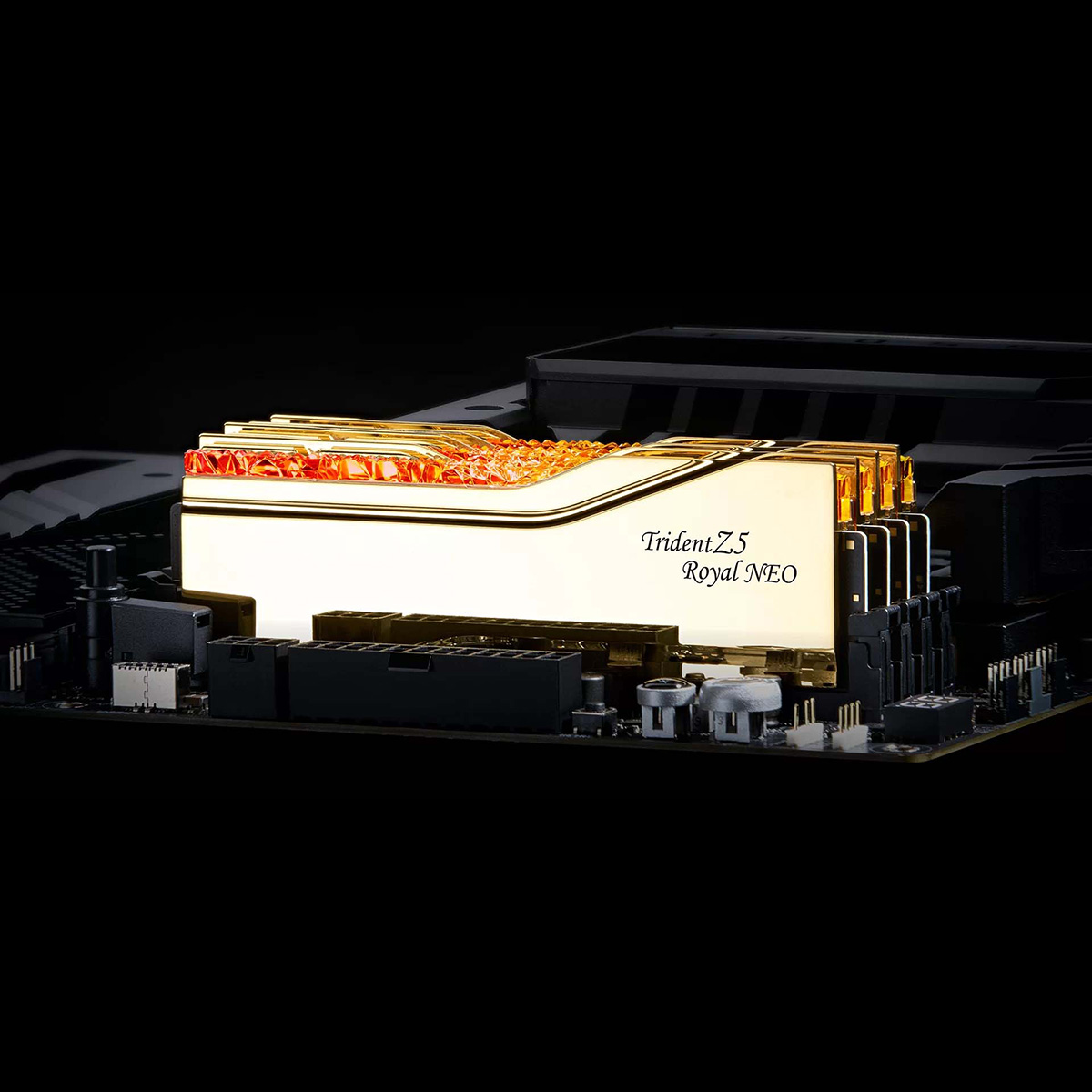 G.SKILL Trident Z5 ROYAL NEO RGB Gold For AMD | 株式会社リンクス