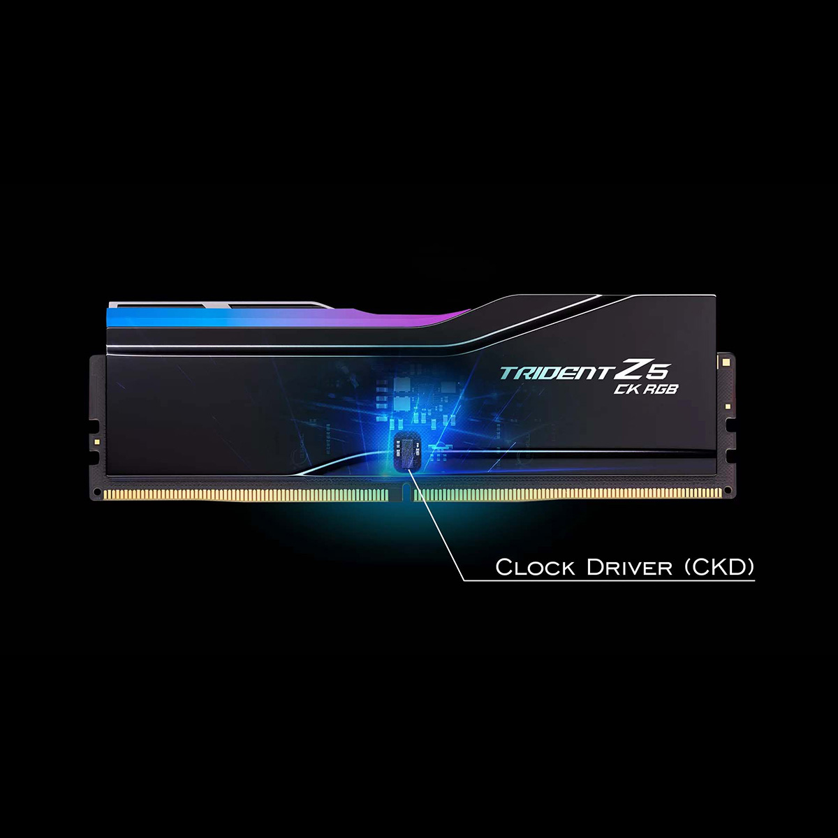G.SKILL Trident Z5 CK RGB | 株式会社リンクスインターナショナル