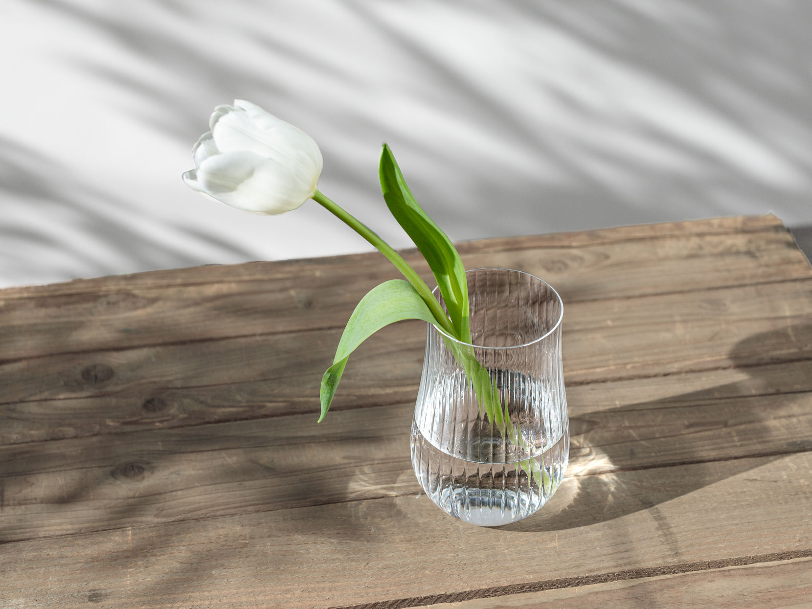 初夏の食卓を彩る、ボヘミアクリスタルのグラス | Lino e Lina ONLINE SHOP