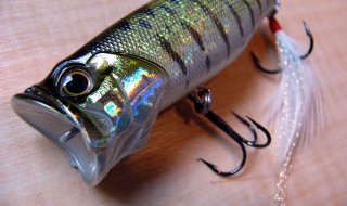 メガバス × アーキテクト DOG-X （S） 首藤武蔵リペイント 丹沢SP