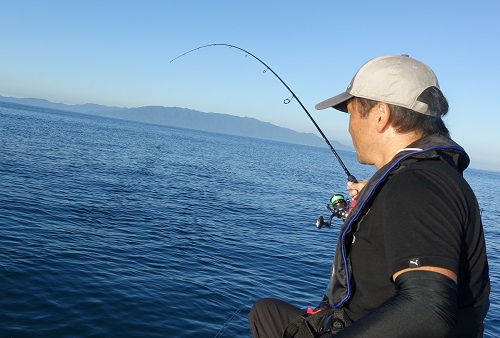 シーバスロッドだけど色々使える！天龍・スワットの繊細モデルSW842S