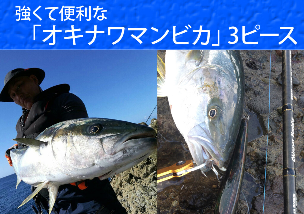 ショアからのビッグゲームに！超強くて便利な3ピースロッドが
