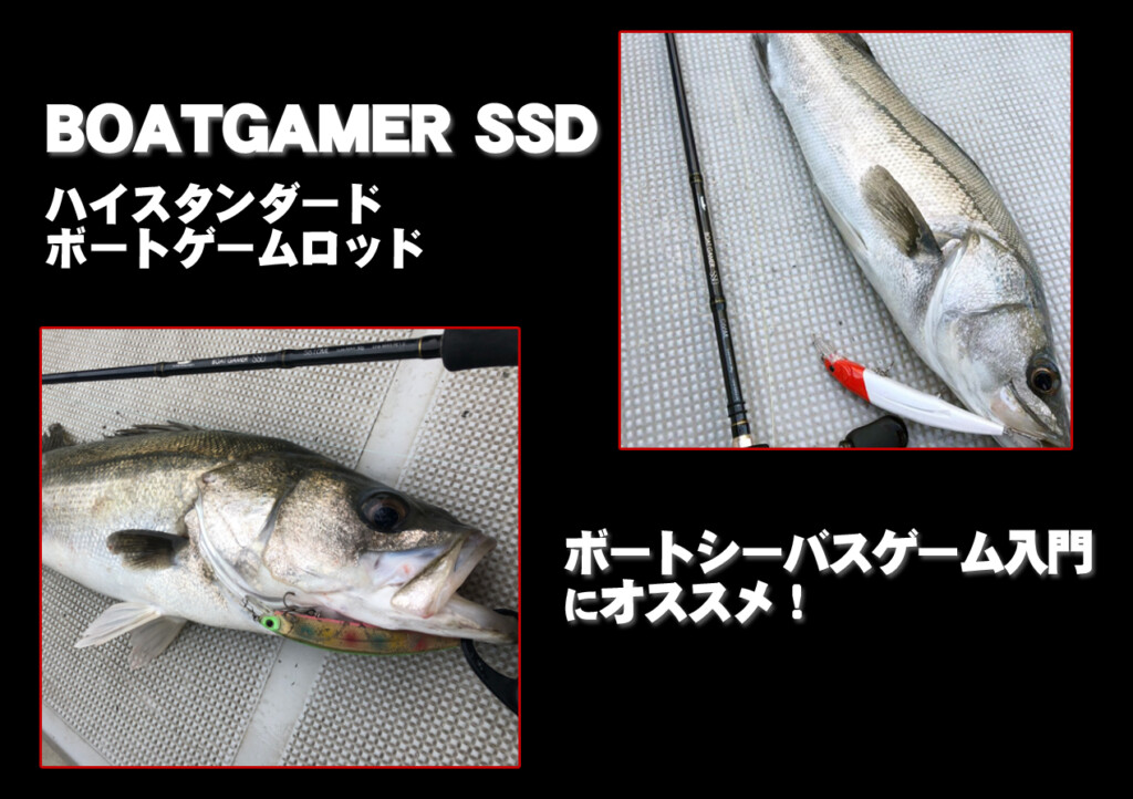 ボートシーバスゲーム入門にオススメ！約2万円のハイコスパ