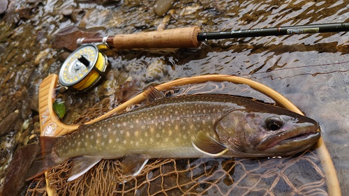 超低弾性カーボンが生んだ「新しく懐かしいフィーリング」。天龍の最新