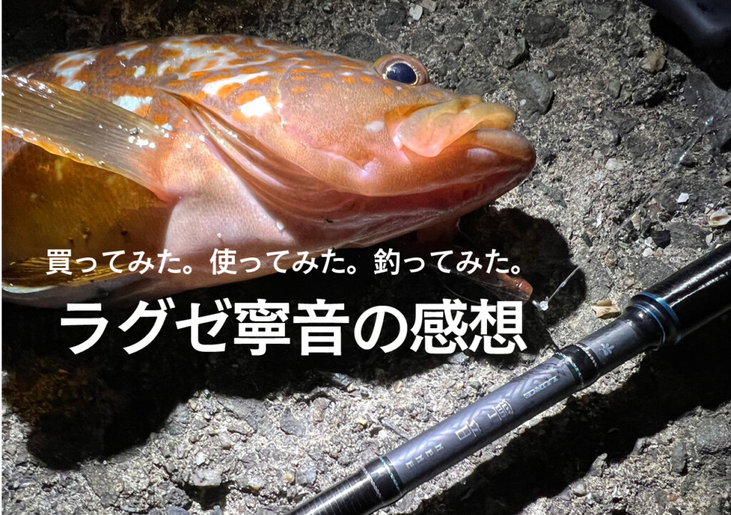 同僚が買った「ラグゼ寧音」のリアルな感想を聞いてみた | 釣りの総合