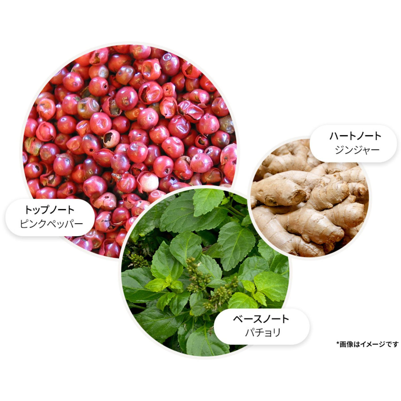 ピンクペッパー ハンドウォッシュ レフィル 400ml – MOLTON BROWN