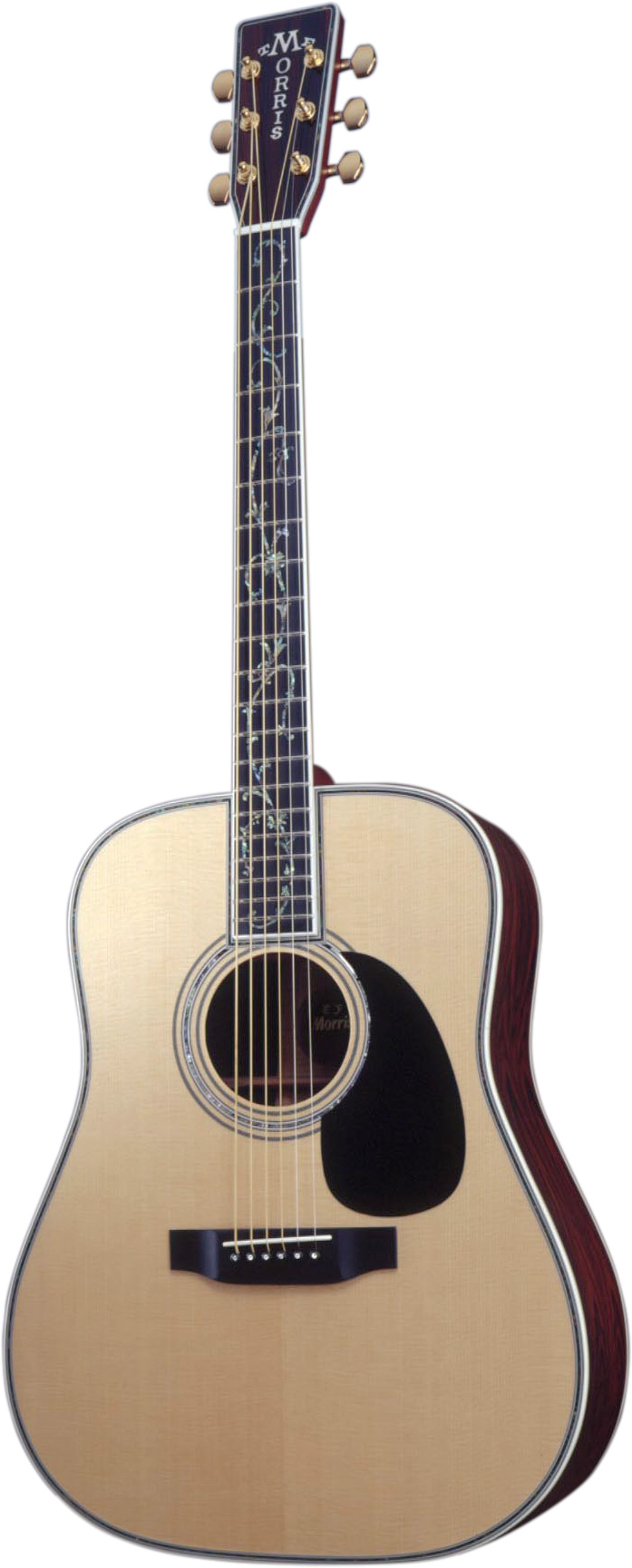 ギター 2個セット Morris W-15有り 【公式通販】